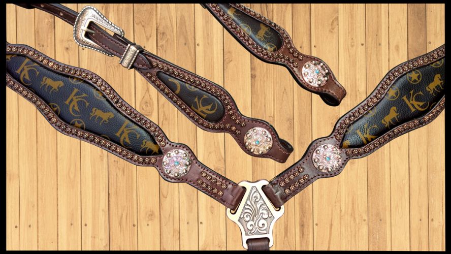 Klassy Cowgirl Louis Vuitton One Ear Headstall and Breast Collar